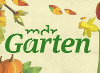 MDR Garten - Heiß auf Gemüse