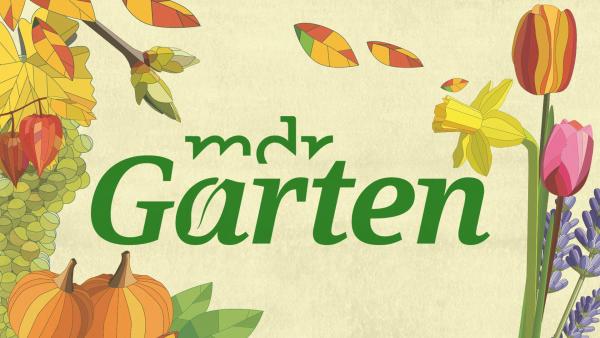 Bild 1 von 3: Logo
