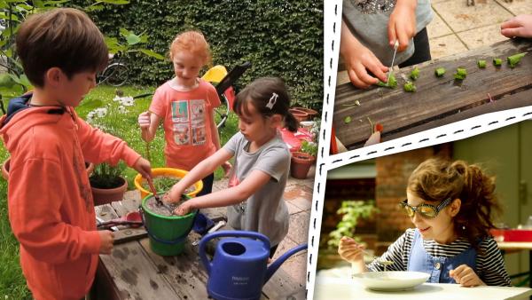 Bild 1 von 2: Bei ENE MENE BU geht es ums Suppe essen und kochen.