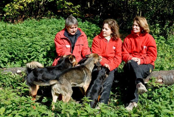 Bild 1 von 11: Im Bild: Kurt Kotrschal, Zsofia Viranyi und Friederike Range mit Hunde-Vergleichsgruppe.