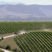 Die wunderbare Welt der Weine
