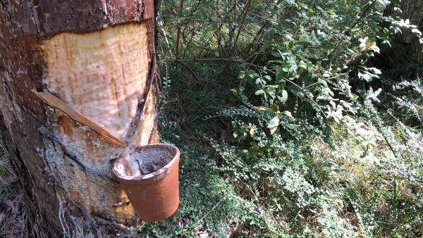 Bild 1 von 9: .