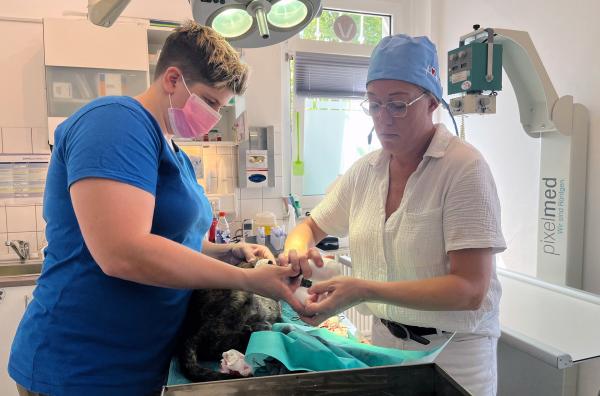 Bild 1 von 2: Tierärztin Christiana Brathe (re.) und ihre Helferin Ilka Müller (li.) haben Hündin Emma kostenlos operiert.