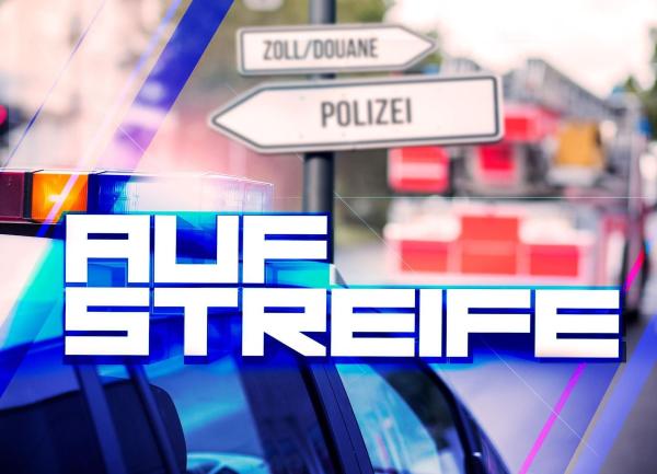 Bild 1 von 102: Auf Streife - Artwork