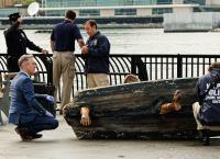 Instinct - Auf Mörderjagd