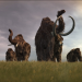 Sternstunden der Evolution
