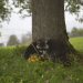 Bild 14