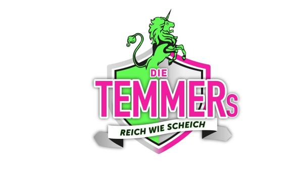 Bild 1 von 3: Die Temmers - Logo