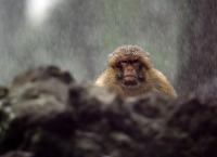 Wildes Marokko - Der grüne Norden