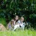 Tiere bis unters Dach
