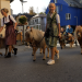 Bild 19