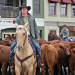 Heartland - Paradies für Pferde