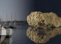 Drogen-Land - Provinz im Rausch