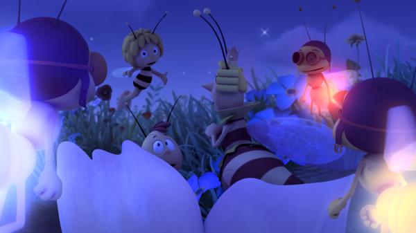 Bild 1 von 12: Maja findet den Weg auch bei Dunkelheit.