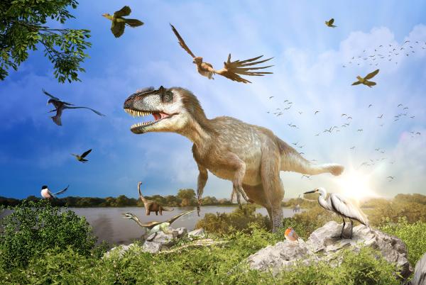 Bild 1 von 4: Der gefiederte Raubsaurier Yutyrannus lebte vor rund 125 Millionen Jahren. Seine haarähnliche Federn dienten der Wärmeregulierung. Über Millionen von Jahren entwickelten sich daraus die Flugfedern der heutigen Vögel.