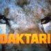 Daktari