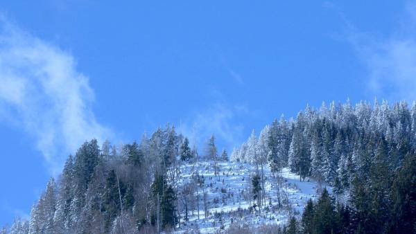 Bild 1 von 8: Im Bild: Fuschertal.