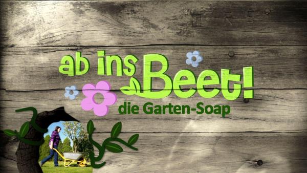 Bild 1 von 1: 