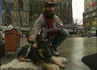 Die Deutschen und ihre Tiere (1994)