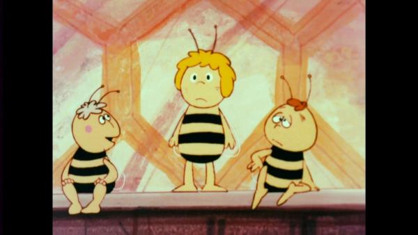 Bild 1 von 2: Die kleinen Bienen, die mit Maja (M.) geschlüpft sind, müssen noch viel von ihrer Lehrerin Kassandra lernen.