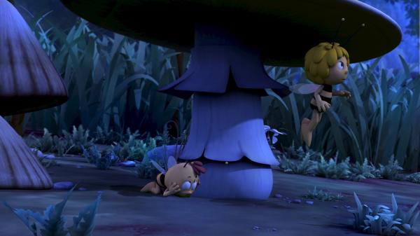 Bild 1 von 7: Willi fürchtet sich vor der Dunkelheit.