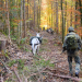 Tierische Kameraden - Die Vierbeiner der Bundeswehr