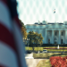 Die Trump-Connection