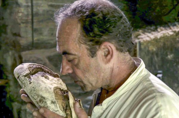 Bild 1 von 2: Im Brocéliande-Wald baut Nicolas Supiot alten, bretonischen Landweizen an und backt daraus ein gesundes, ökologisches und nachhaltiges Brot.