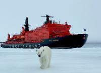 Die Arktis - 66,5 Grad Nord