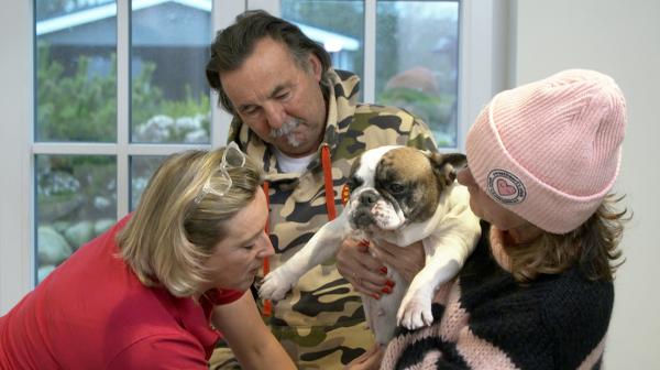 Bild 1 von 1: Die Sylter Silke und Olaf Jaschinski sorgen sich um ihr Bulldogge Trude - sie hat einen Knubbel am Gesäuge.