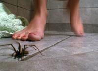 Unsere heimlichen Nachbarn