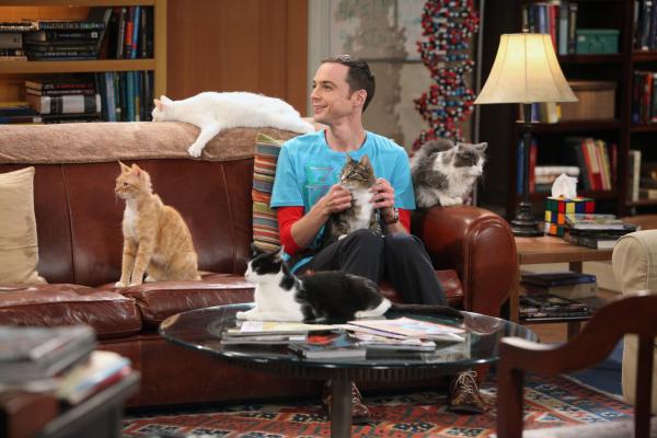 Bild 1 von 30: Nach der Trennung von Amy kauft sich Sheldon (Jim Parsons) eine Katze - doch es bleibt nicht bei einer ...