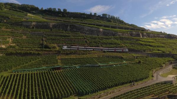 Bild 1 von 7: Lavaux