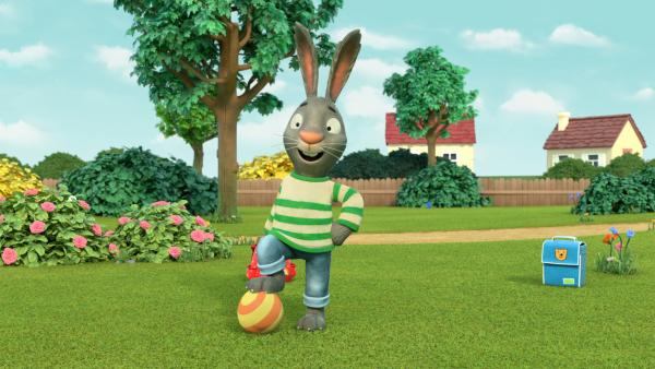 Bild 1 von 1: Pip ist sehr siegessicher!