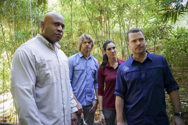 Bild 1 von 11: Sind bereit alles zu riskieren, um Hetty sicher nach Hause zu bringen: (v.l.n.r.) Sam (LL COOL J), Deeks (Eric Christian Olsen), Kensi (Daniela Ruah) und Callen (Chris O'Donnell) ...
