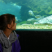 Anna und die wilden Tiere
