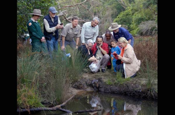Bild 1 von 7: Die ersten Schnabeltiere werden wieder im Royal National Park ausgesetzt. Ein großer Tag für die Wissenschaftler.