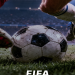 FIFA International Friendlies