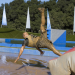 WipeOut - mach dich nass!