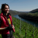 Wein am Rhein