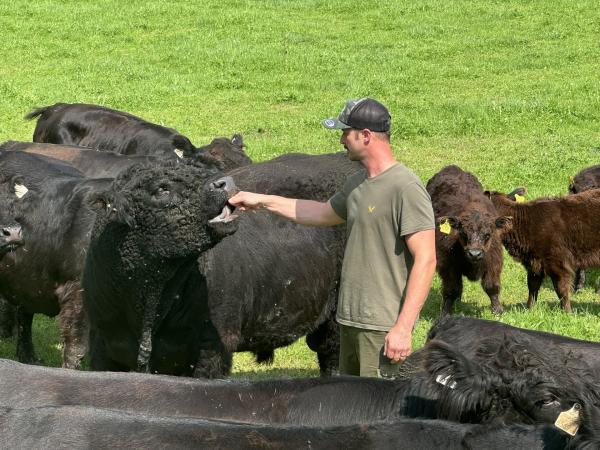 Bild 1 von 8: Andreas Teufl mit seinen Galloway´s während den Dreharbeiten zu AB Hof für Seruvs TV