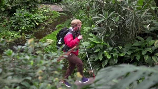 Bild 1 von 4: .