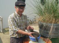 Seelöwe & Co. - tierisch beliebt