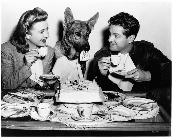 Bild 1 von 4: Patricia Martin (Priscilla Lane, l.); Barry Kane (Robert Cummings, r.)