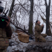 Der Feind in den Wäldern - Ostfront Ukraine