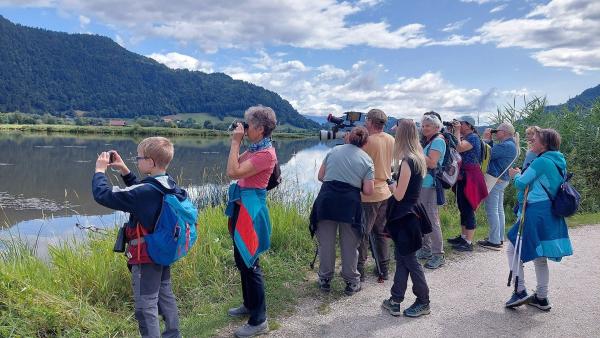 Bild 1 von 3: Bleistätter Moor - das artenreiche Natur-, Landschafts- und Europaschutzgebiet lockt auch viele Touristen.