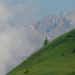 Über uns nur der Himmel - Almauftrieb in Kärnten und der Steiermark