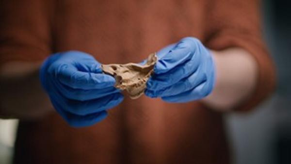 Bild 1 von 5: Wer waren die Erbauer von Newgrange und wie haben sie gelebt? DNA-Analysen sollen die gefundenen Knochen zum Sprechen bringen.