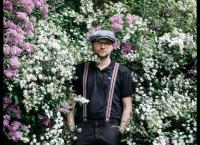 Thomas Stipsits: Stinatzer Delikatessen