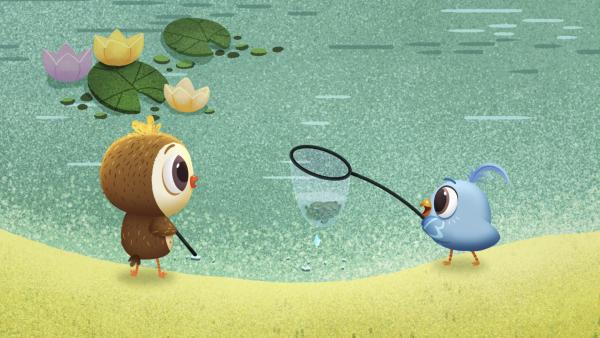 Bild 1 von 1: Die Camperchen erforschen das Leben im Teich.